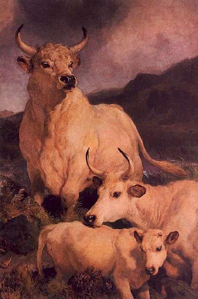 Sir Edwin Landseer Wild Cattle at Chillingham Spain oil painting art